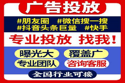 百度竞价与搜索引擎优化（SEO）的协同效应案例